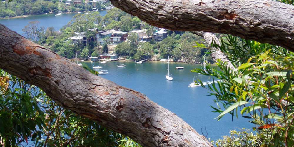 Clients with a Middle Cove buyers agent
